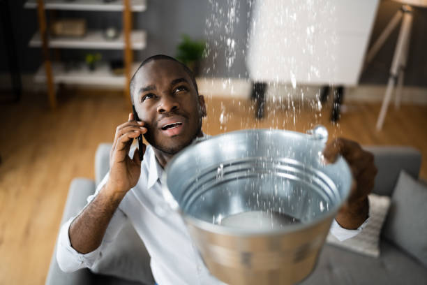 Best Water damage mitigation services  in Browntown, PA