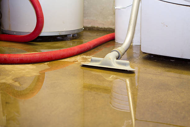 Best Water damage restoration near me  in Browntown, PA
